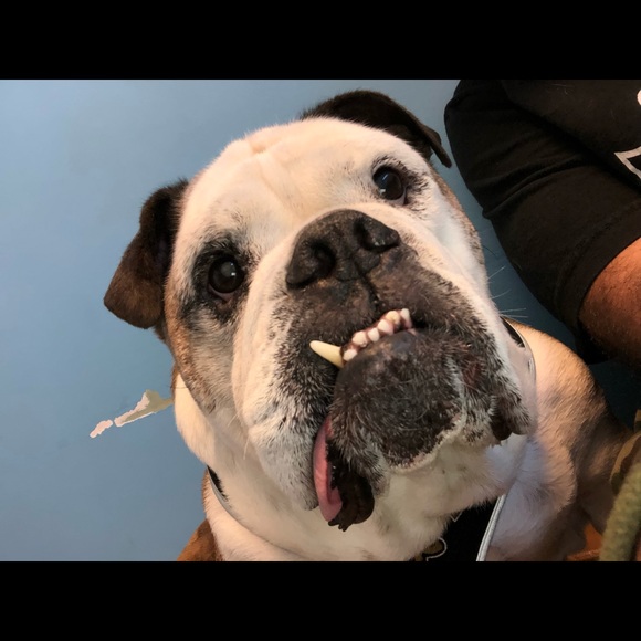 Meet your Posher, Ivan - Picture 1 of 1